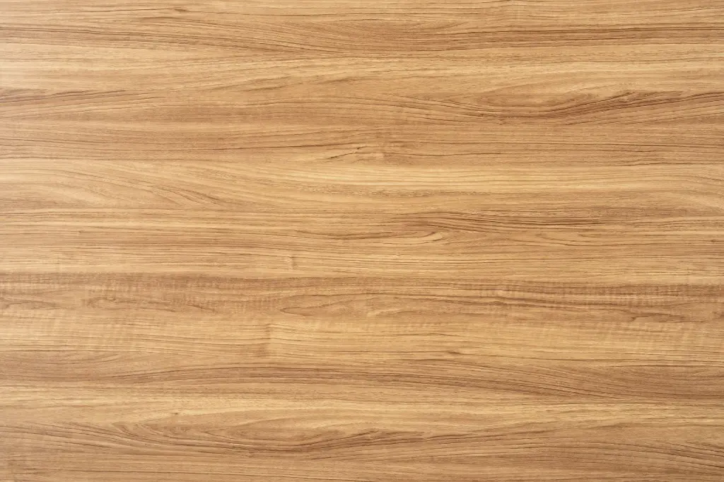 Placa Roble 1 (1).webp